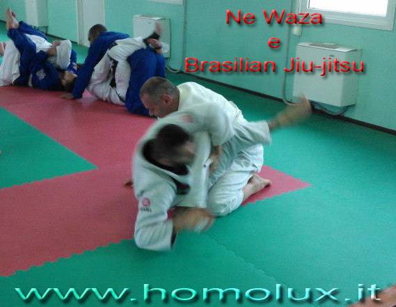 brasilian jiu-jitsu e ne waza